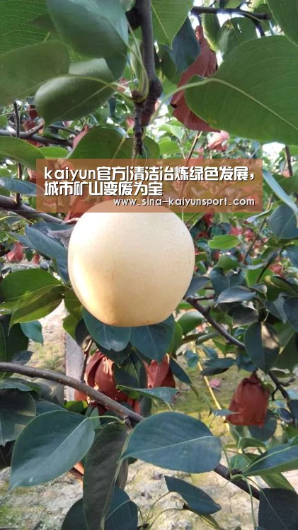 kaiyun官方|清洁冶炼绿色发展,城市矿山变废为宝(图2)